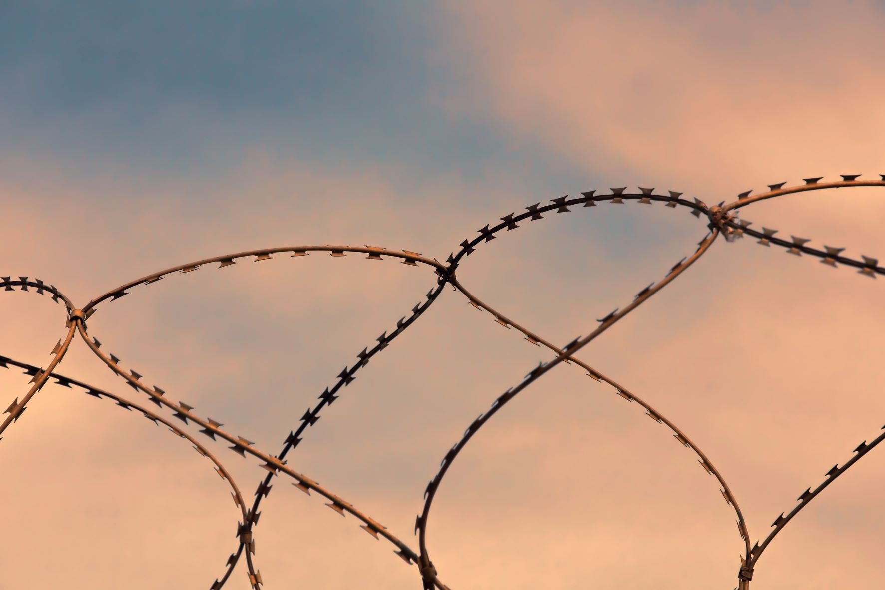 barbed wire in front of a sunrise