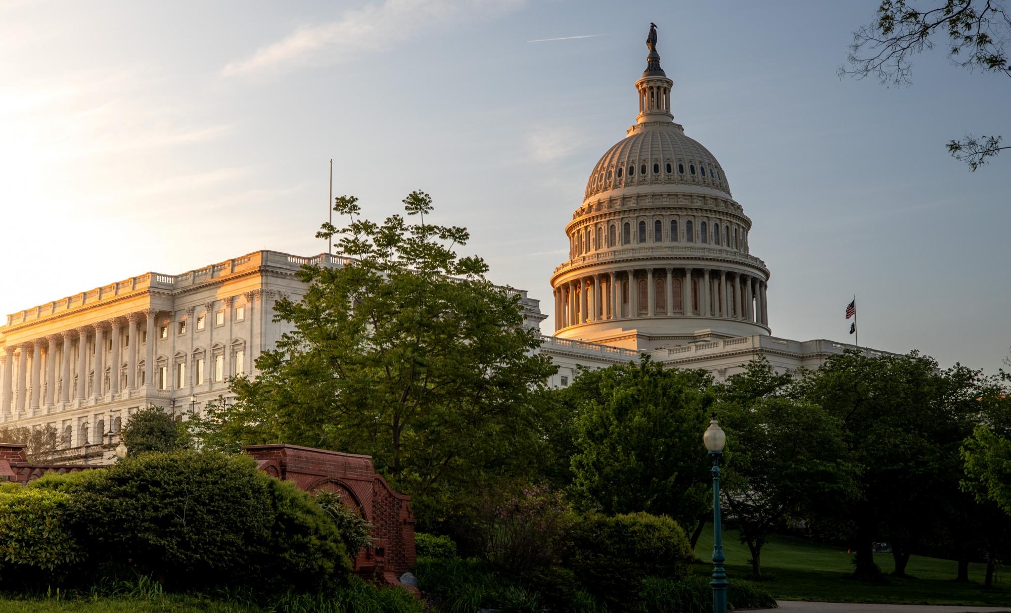 United States Capitol and surrounding greenery