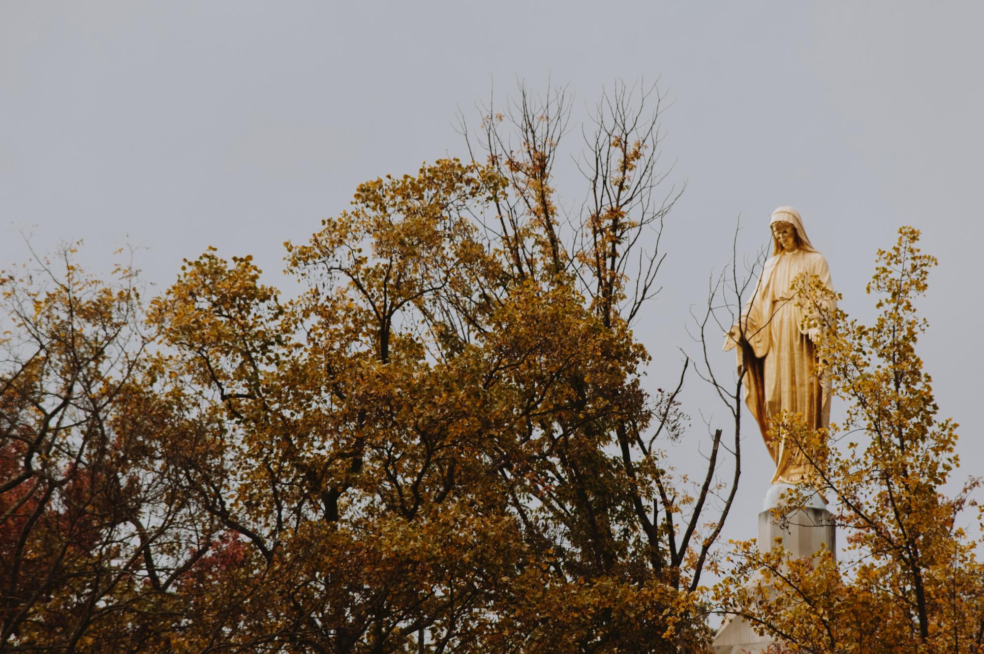 Statue of Mary overlooking treetops