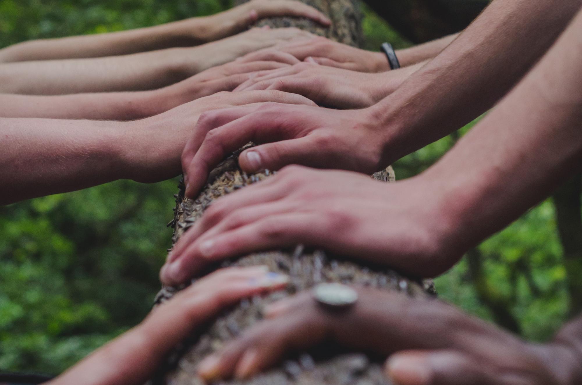 Diverse pairs of hands along a tree trunk