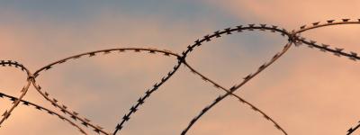 barbed wire pink sky