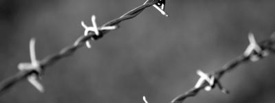Barbed wire black and white