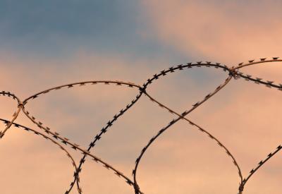 barbed wire pink sky