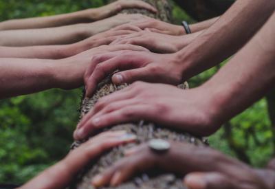 Diverse hands along a tree trunk