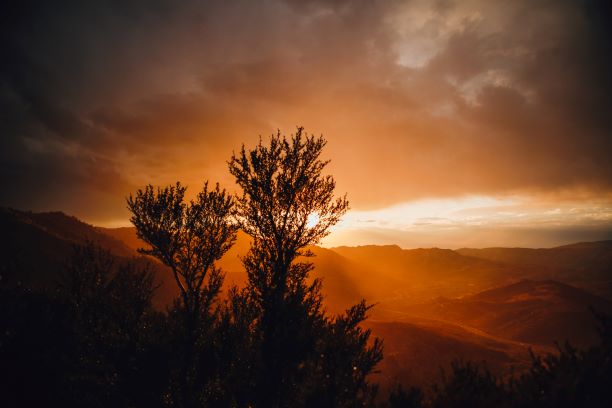 patrick-hendry-ZmIGHiaopTw-unsplash small